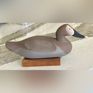 R. Madison Mitchell Canvasback Hen Decoy Signed 1977 Havre de Grace, MD
